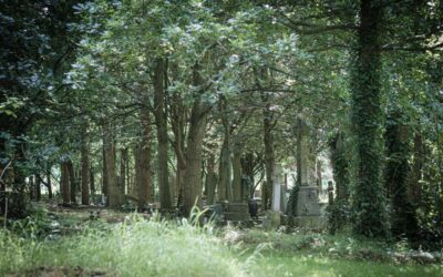 Why a funeral film?