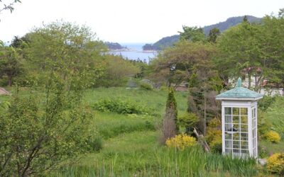 The Wind Phone – A Place Of Solace and Connection for the Bereaved