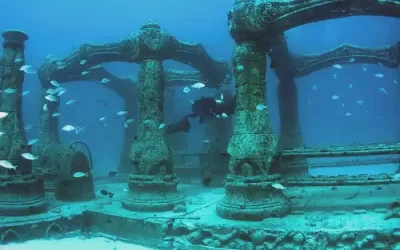 A Watery Grave? Neptune Memorial Reef ™ – Creating Life, After Life.