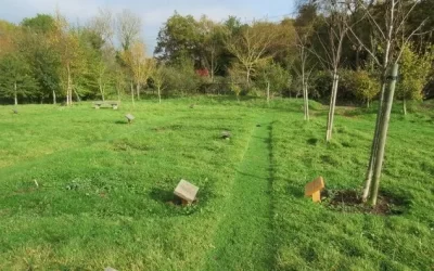 The Best Natural Burial Grounds in Yorkshire