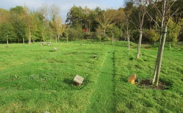 The Best Natural Burial Grounds in Yorkshire