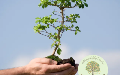 Memorial Tree Planting