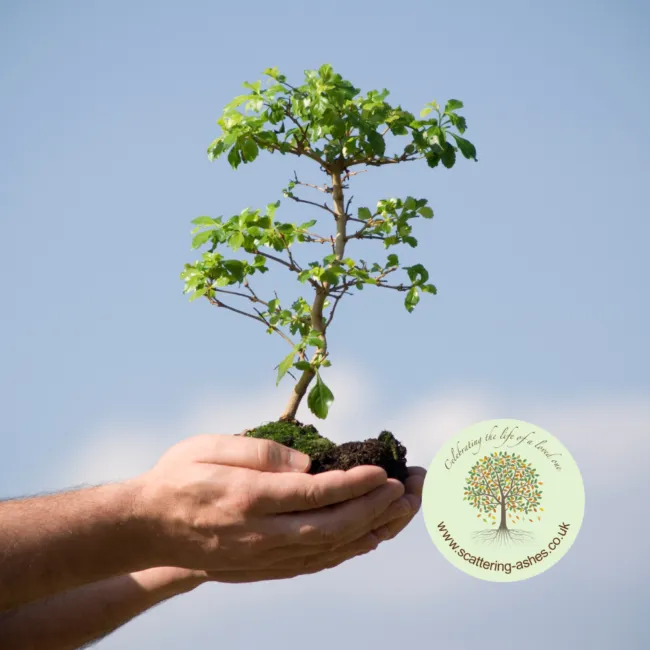 Memorial Tree Planting